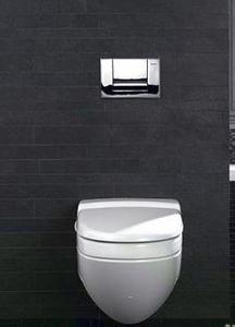 ����ʽˮ��